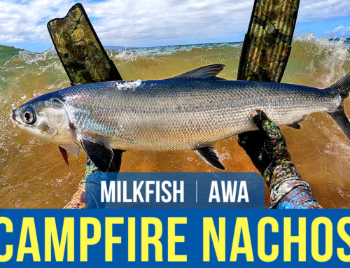 Campfire Fish Nachos – Milkfish Catch and Cook