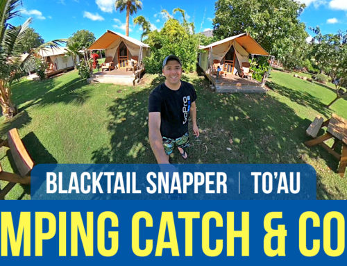 Camping Catch & Cook Blacktail Snapper